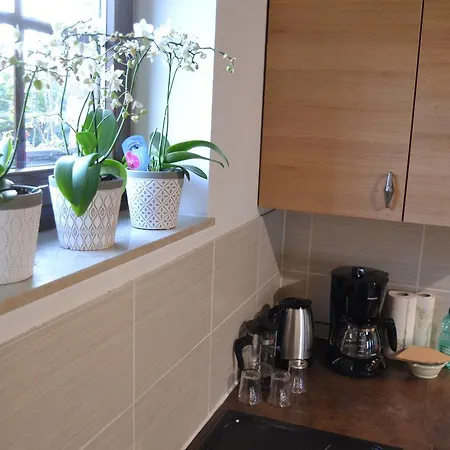 Tatil Evi De L'espinette